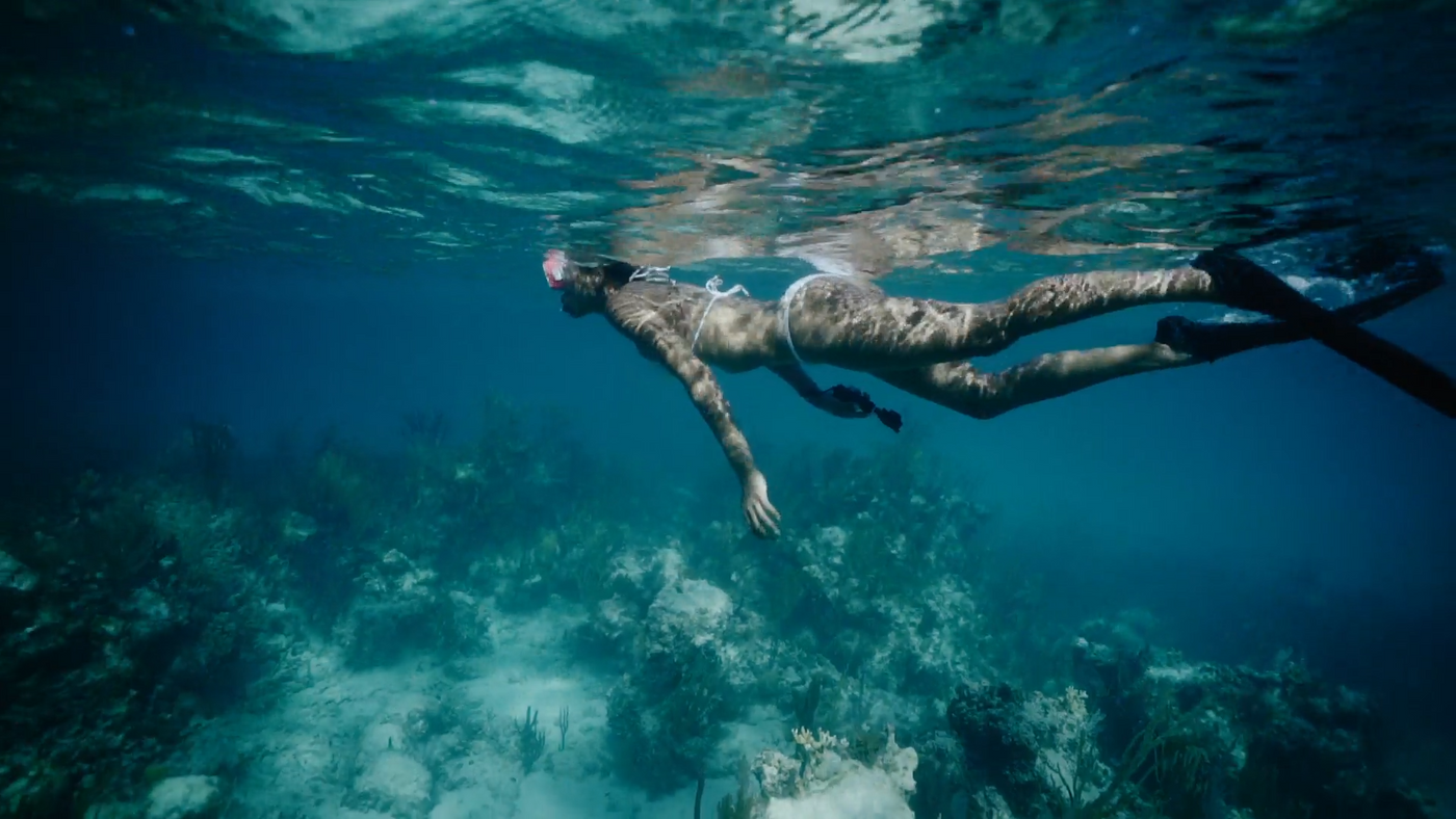 Explore Snorkeling Gear