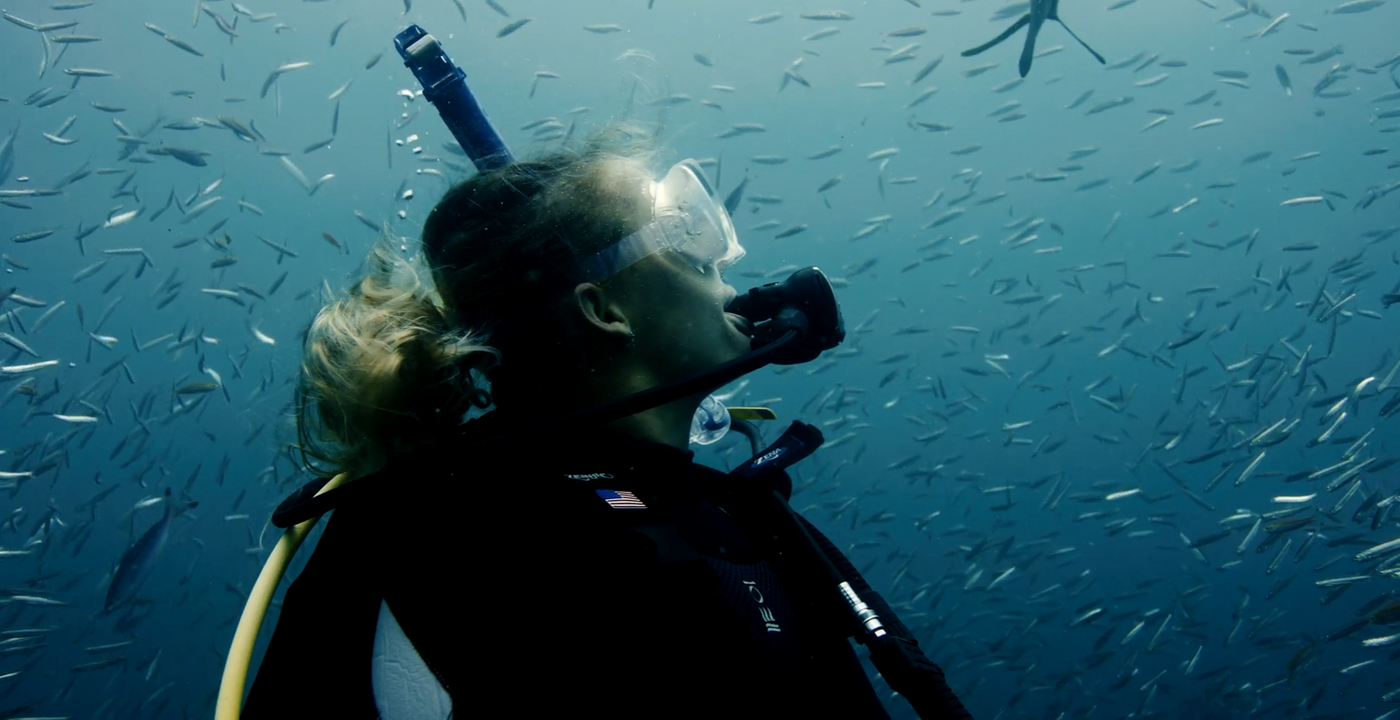 Explore Diving Apparel