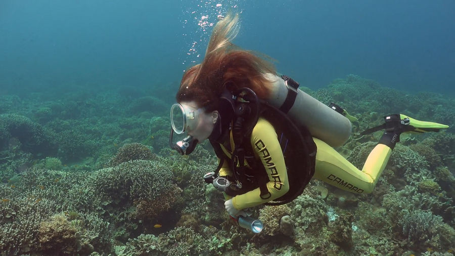 Freediving Equipment