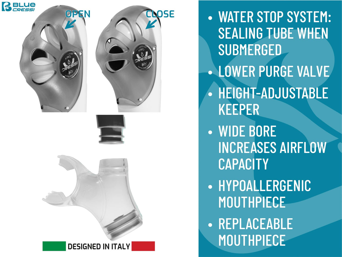 Adult Snorkel Set with Mask, Dry Snorkel & Fins